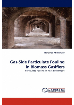 Gas-Side Particulate Fouling in Biomass Gasifiers