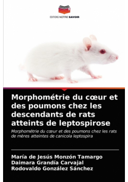 Morphométrie du cœur et des poumons chez les descendants de rats atteints de leptospirose