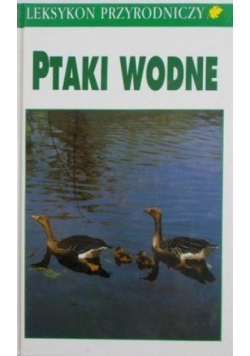 Ptaki wodne