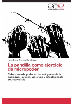 La pandilla como ejercicio de micropoder
