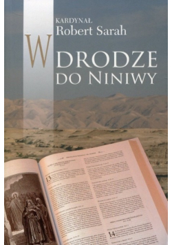 W drodze do Niniwy