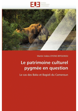 Le patrimoine culturel pygmée en question