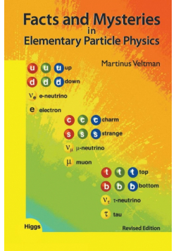 Facts and Mysteries in Elementary Particle Physics