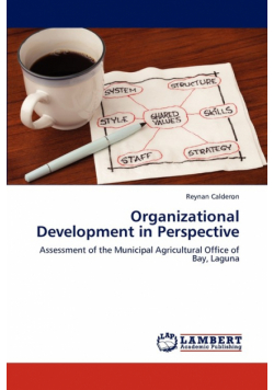 Organizational Development in Perspective