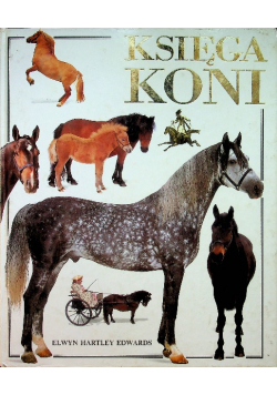 Księga koni