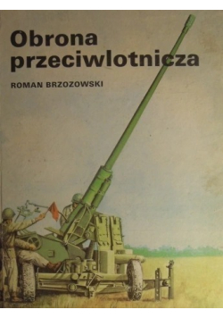 Obrona przeciwlotnicza
