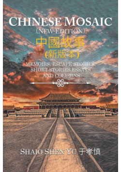 Chinese Mosaic 中國故事