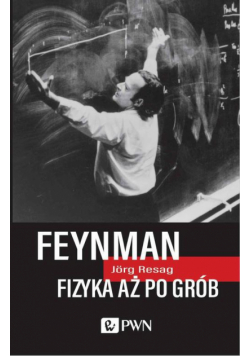 Feynman. Fizyka aż po grób