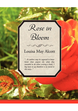 Rose in Bloom