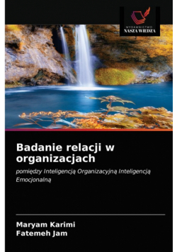 Badanie relacji w organizacjach