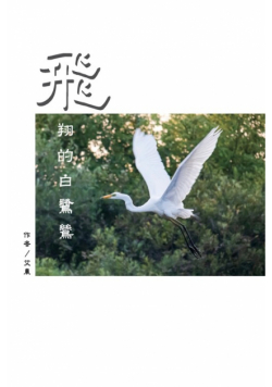飛翔的白鷺鷥（繁體中文版）