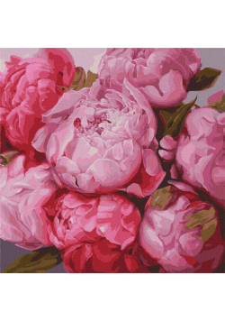 Malowanie po numerach - Delikatne piwonie 50x50cm