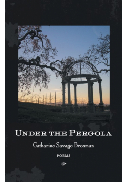 Under the Pergola