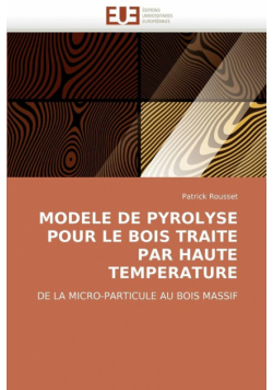 Modele de pyrolyse pour le bois traite par haute temperature