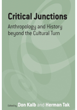 Critical Junctions