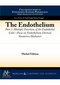 The Endothelium, Part I