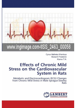 Effects of Chronic Mild Stress on the Cardiovascular System in Rats