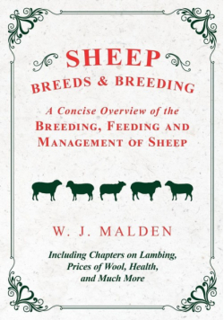 Sheep Breeds and Breeding - A Concise Overview of the Breeding, Feeding and Management of Sheep, Including Chapters on Lambing, Prices of Wool, Health, and Much More