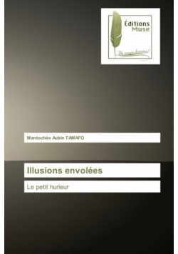 Illusions envolées