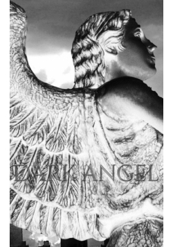 Dark Angel Writing Drawing Journal