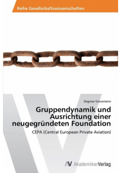 Gruppendynamik Und Ausrichtung Einer Neugegrundeten Foundation