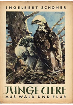 Junge Tiere aus wald und flur