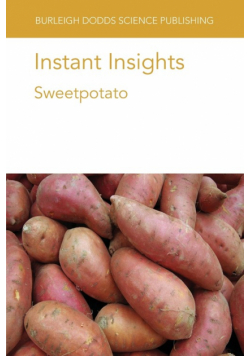 Instant Insights