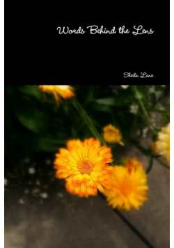Words Behind the Lens