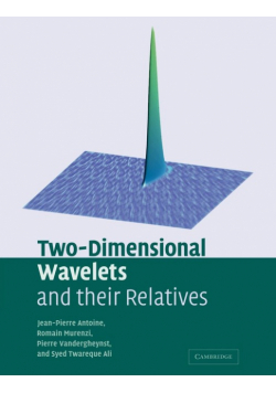 Two-Dimensional Wavelets and Their Relatives