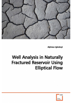 Well Analysis in Naturally Fractured Reservoir Using  Elliptical Flow