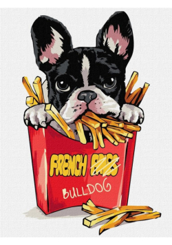 Malowanie po numerach - Mały buldog 30x40