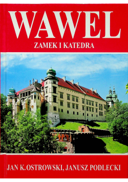 Wawel zamek i katedra