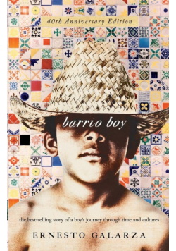 Barrio Boy