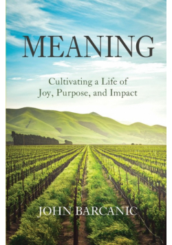 Meaning