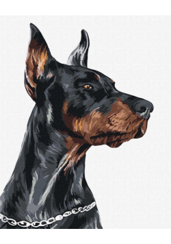 Malowanie po numerach - Dzielny Doberman 40x50cm