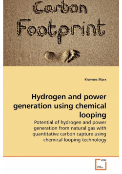 Hydrogen and power generation using             chemical looping