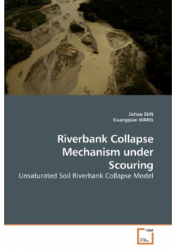 Riverbank Collapse Mechanism under Scouring