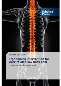 Ergonomics intervention for work-related low back pain