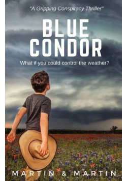 Blue Condor