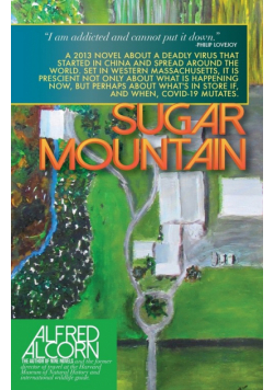 Sugar Mountain