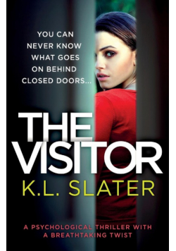 The Visitor