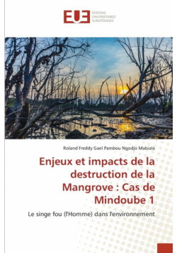 Enjeux et impacts de la destruction de la Mangrove