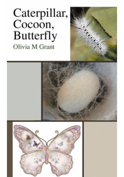 Caterpillar, Cocoon, Butterfly
