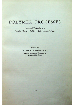 Polymer processes