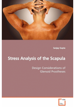 Stress Analysis of the Scapula