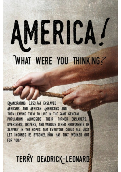 America! What Were You Thinking?