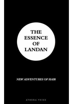 The Essence of Landan