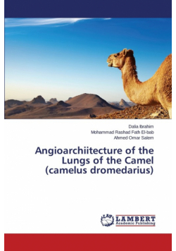Angioarchiitecture of the Lungs of the Camel (Camelus Dromedarius)