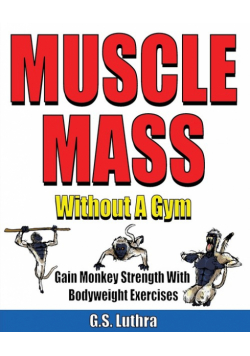 Muscle Mass Without A Gym