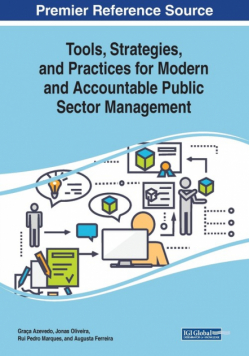 Tools, Strategies, and Practices for Modern and Accountable Public Sector Management